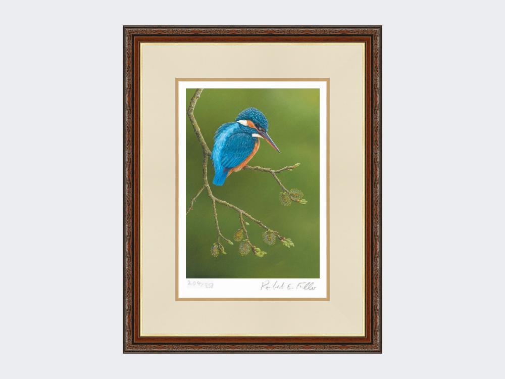 Colourful-Kingfisher-Print-Harvest-Twist