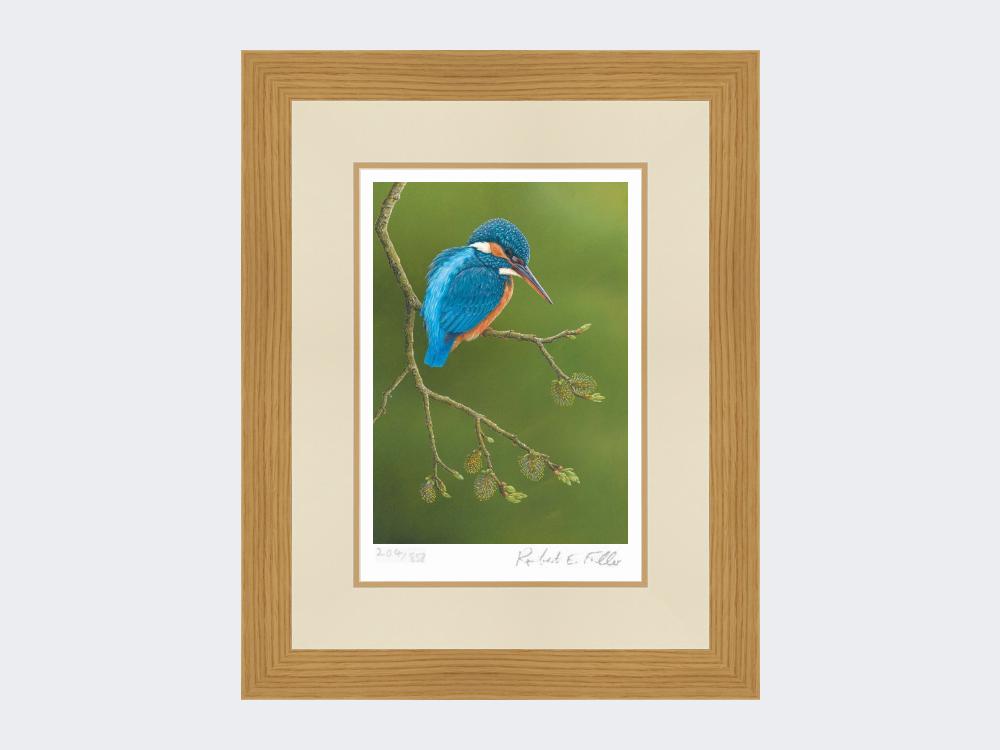 Colourful-Kingfisher-Print-Light-Oak