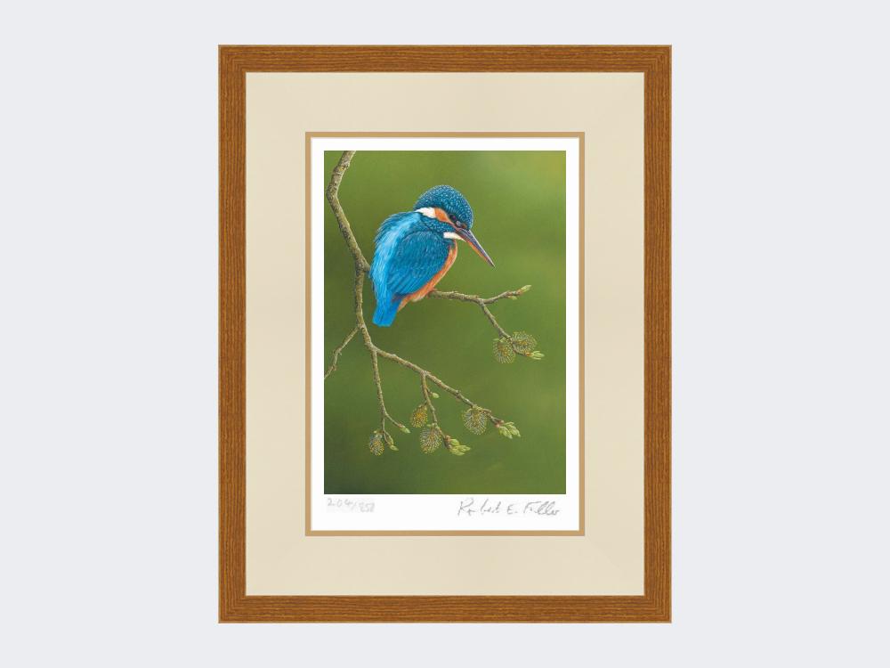 Colourful-Kingfisher-Print-Rustic-Country