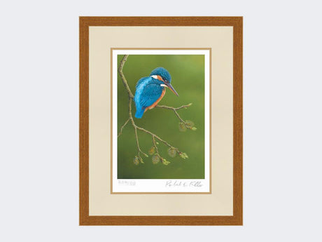 Colourful-Kingfisher-Print-Rustic-Country