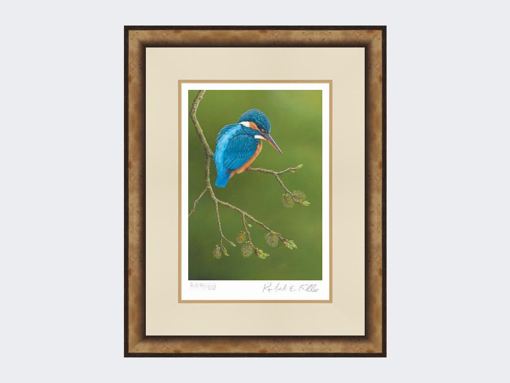 Colourful-Kingfisher-Print-Small-Light-Burr