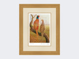 Courting-Pheasants-Limited-Edition-Print-Light-Oak