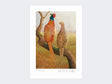 Courting-Pheasants-Limited-Edition-Print-Loose-Print-Only