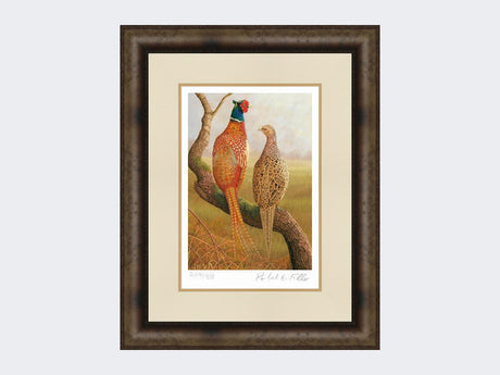 Courting-Pheasants-Limited-Edition-Print-Medium-Dark-Grey-Burr