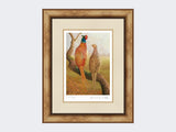 Courting-Pheasants-Limited-Edition-Print-Medium-Light-Burr