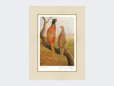 Courting-Pheasants-Limited-Edition-Print-Mounted-Print-Only