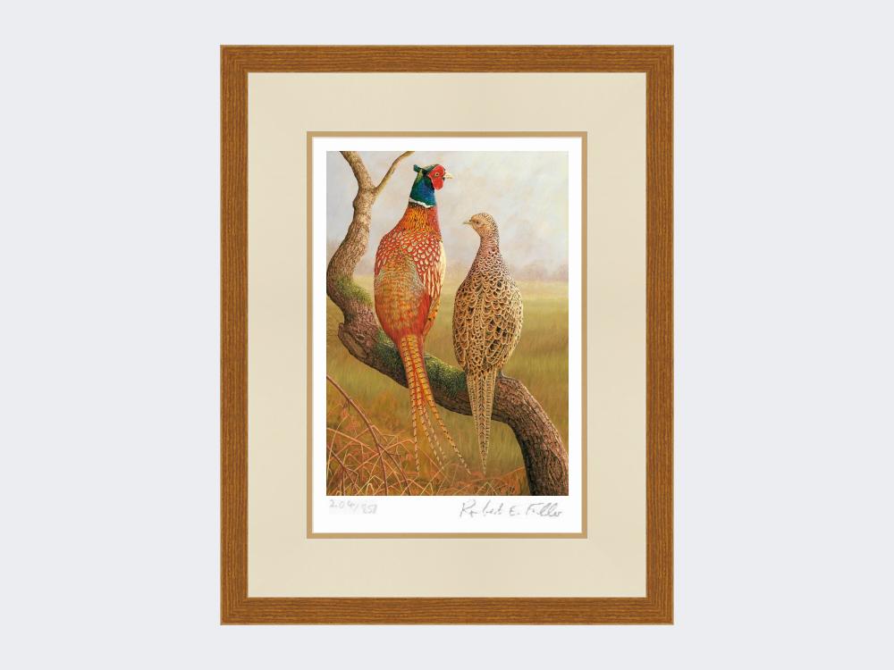 Courting-Pheasants-Limited-Edition-Print-Rustic-Country