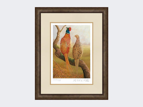 Courting-Pheasants-Limited-Edition-Print-Small-Dark-Grey-Burr