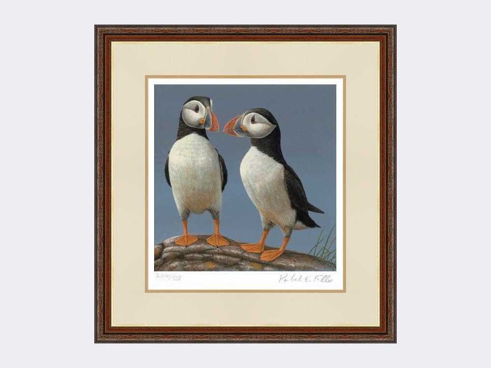 Courting-Puffins-Limited-Edition-Print-Harvest-Twist