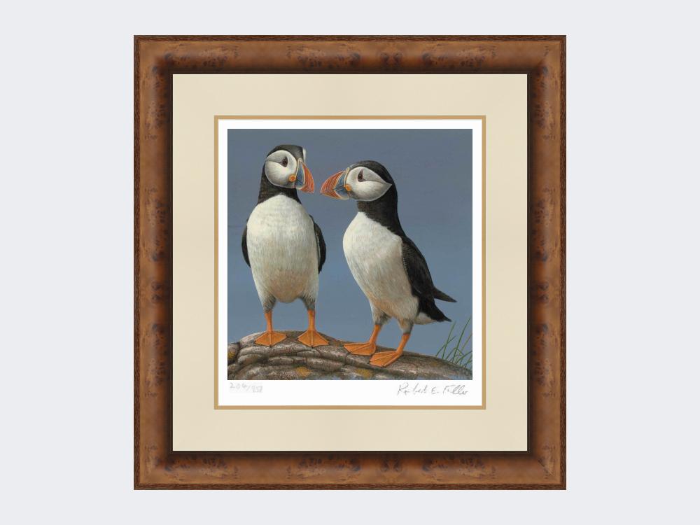 Courting-Puffins-Limited-Edition-Print-Medium-Walnut-Burr