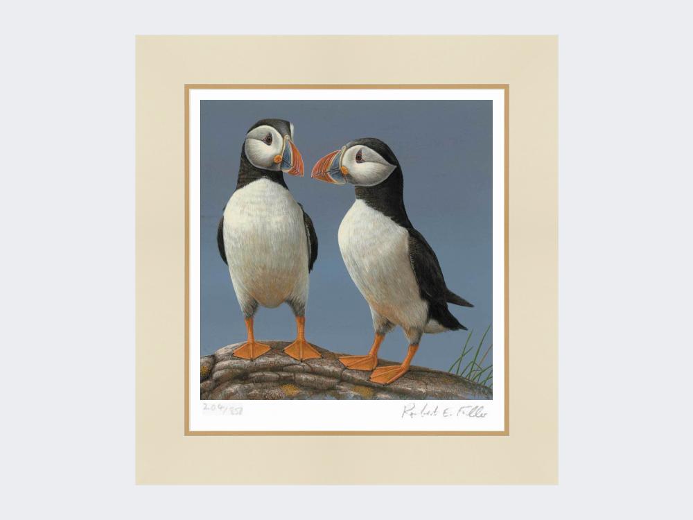 Courting-Puffins-Limited-Edition-Print-Mounted-Print-Only