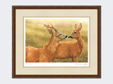 Courting-Roe-Deer-Print-Harvest-Twist