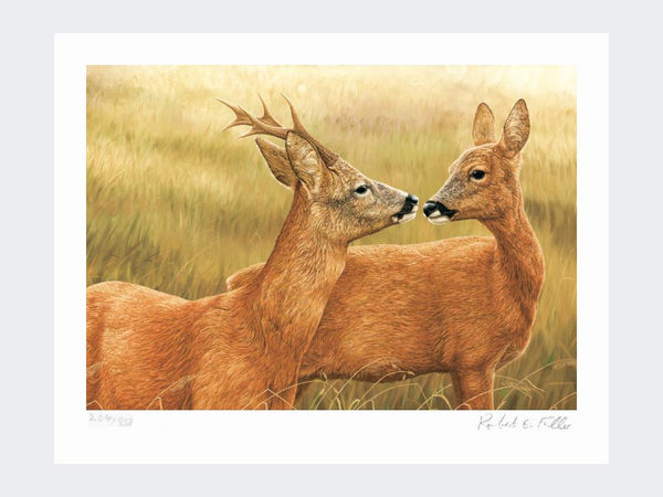 Courting Roe Deer | Limited Edition Art Print