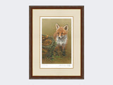 Curious-Fox-Cub-Print-Harvest-Twist