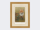 Curious-Fox-Cub-Print-Light-Oak