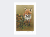 Curious-Fox-Cub-Print-Loose-Print-Only