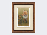 Curious-Fox-Cub-Print-Medium-Walnut-Burr