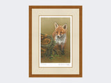 Curious-Fox-Cub-Print-Rustic-Country