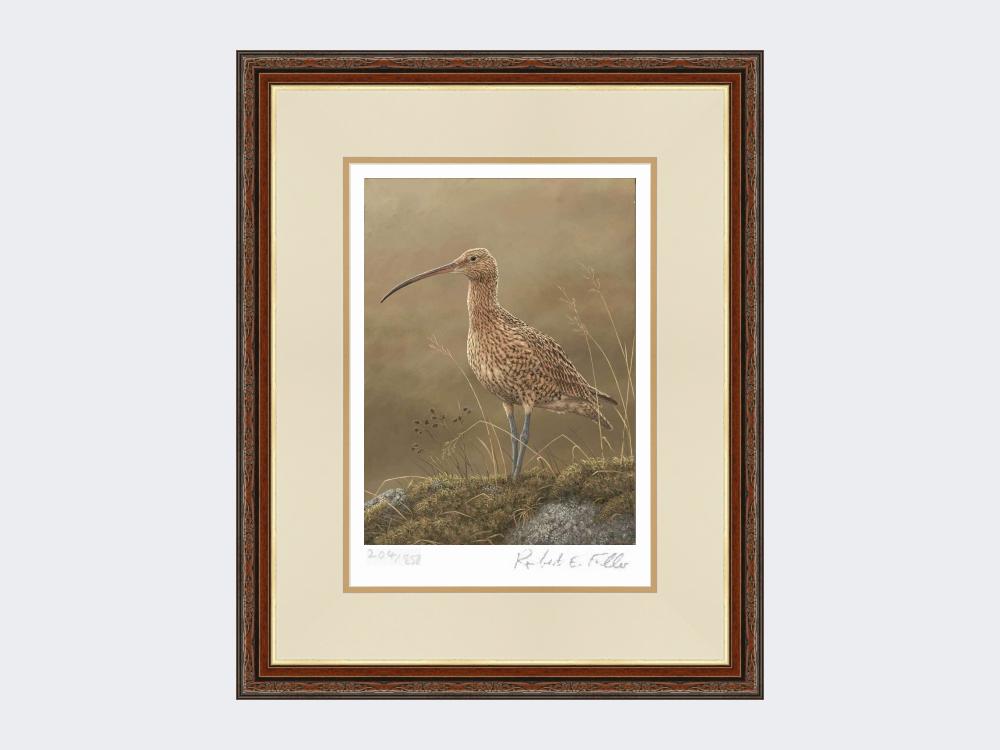 Curlew-Limited-Edition-Print-Harvest-Twist