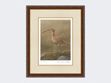 Curlew-Limited-Edition-Print-Harvest-Twist