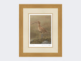 Curlew-Limited-Edition-Print-Light-Oak