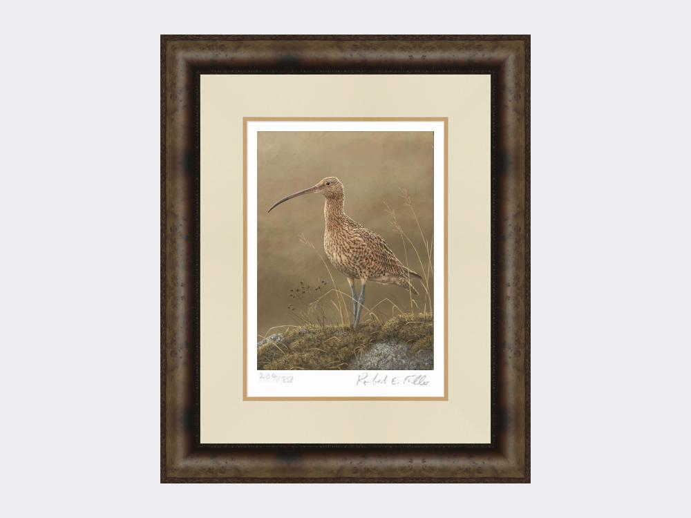 Curlew-Limited-Edition-Print-Medium-Dark-Grey-Burr