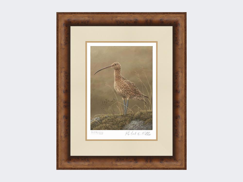 Curlew-Limited-Edition-Print-Medium-Walnut-Burr