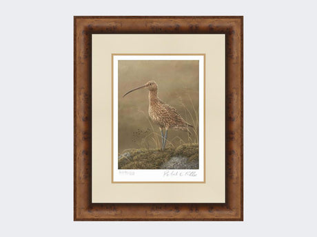 Curlew-Limited-Edition-Print-Medium-Walnut-Burr