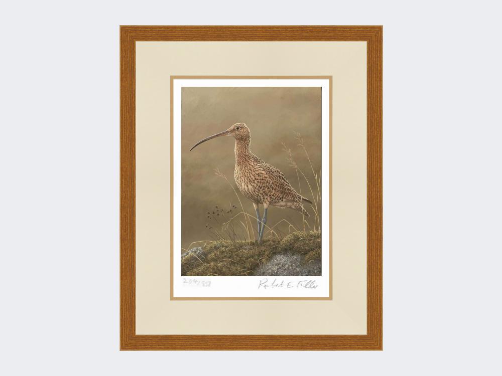 Curlew-Limited-Edition-Print-Rustic-Country