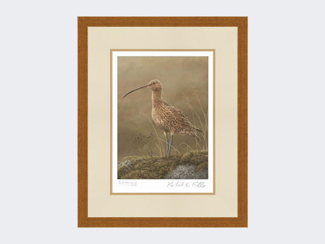 Curlew-Limited-Edition-Print-Rustic-Country