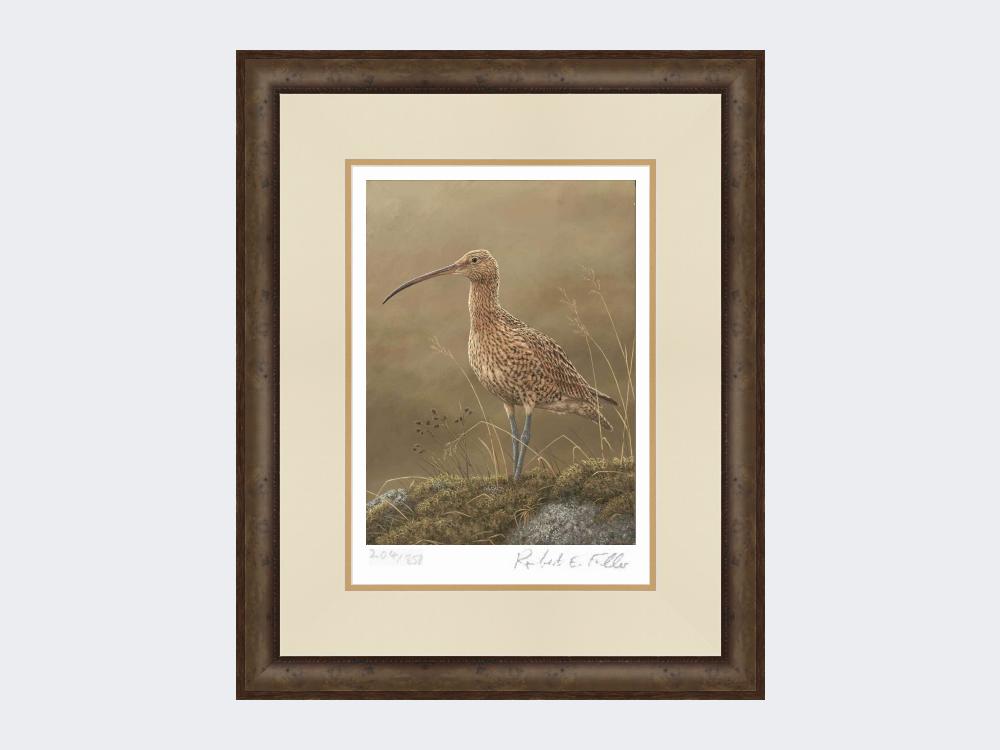 Curlew-Limited-Edition-Print-Small-Dark-Grey-Burr