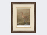 Curlew-Limited-Edition-Print-Small-Dark-Grey-Burr