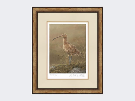 Curlew-Limited-Edition-Print-Small-Light-Burr