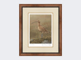 Curlew-Limited-Edition-Print-Small-Walnut-Burr