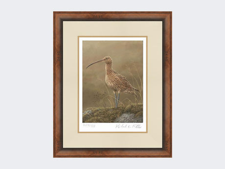 Curlew-Limited-Edition-Print-Small-Walnut-Burr