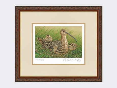 Curlew-and-Chicks-Harvest-Twist