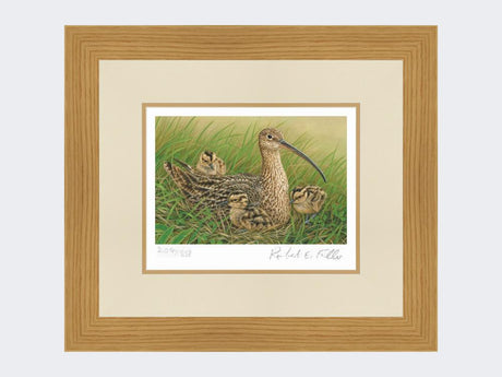 Curlew-and-Chicks-Light-Oak