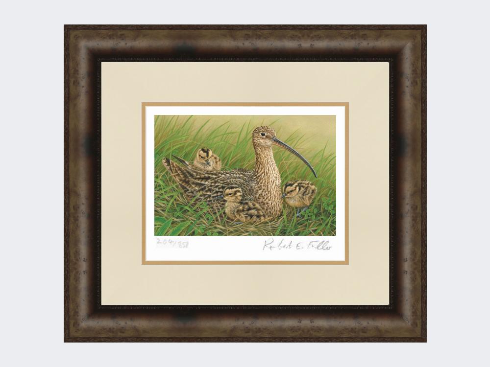 Curlew-and-Chicks-Medium-Dark-Grey-Burr