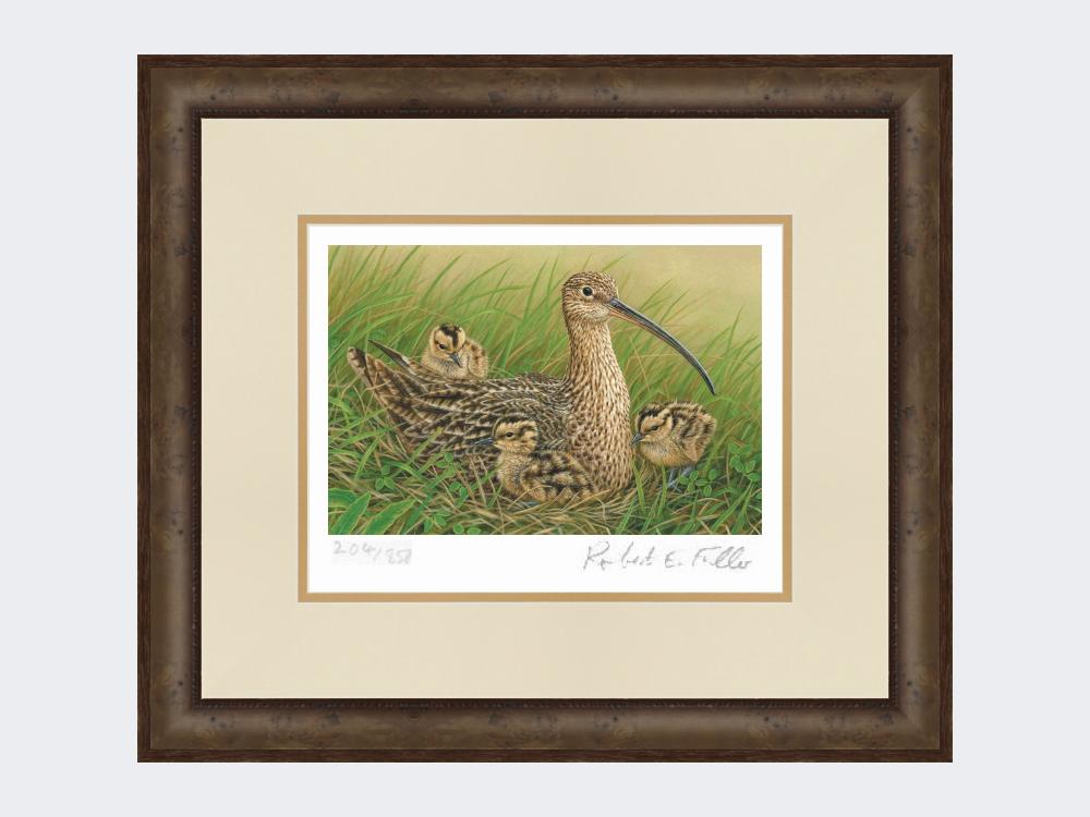 Curlew-and-Chicks-Small-Dark-Grey-Burr