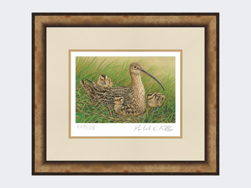 Curlew-and-Chicks-Small-Light-Burr