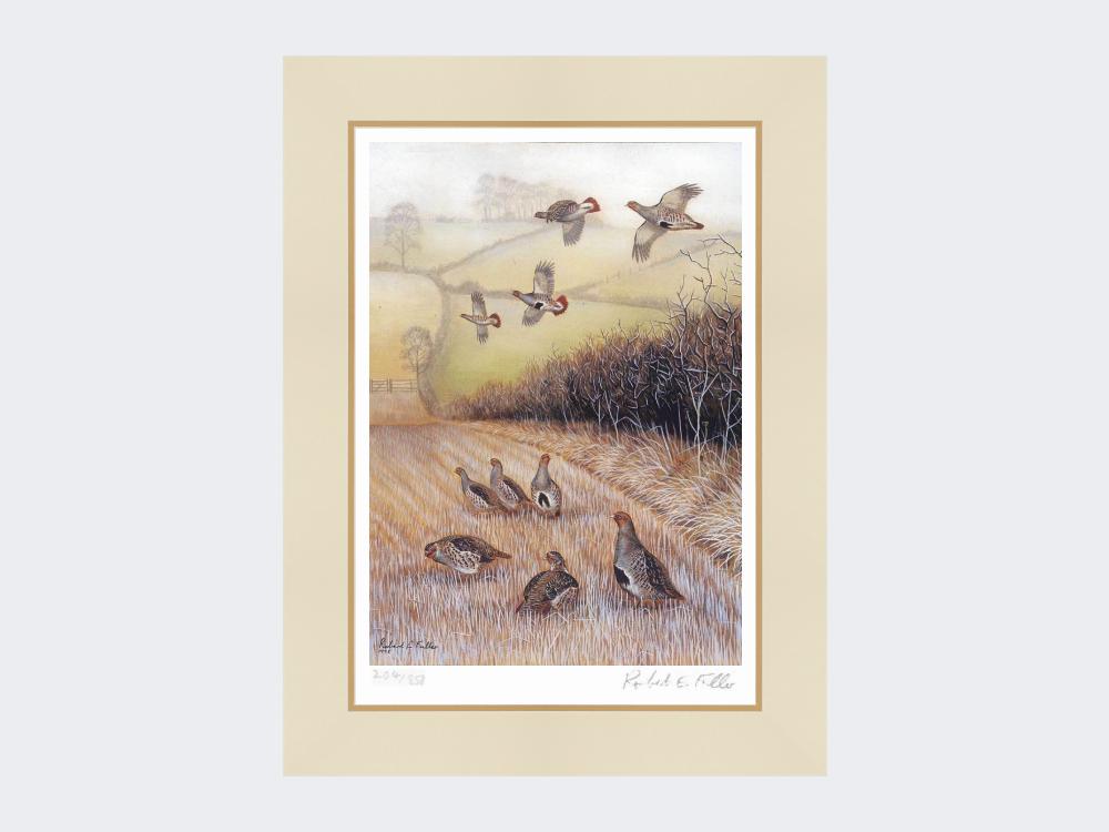 Early-Morning-Greys-Print-Mounted-Print-Only