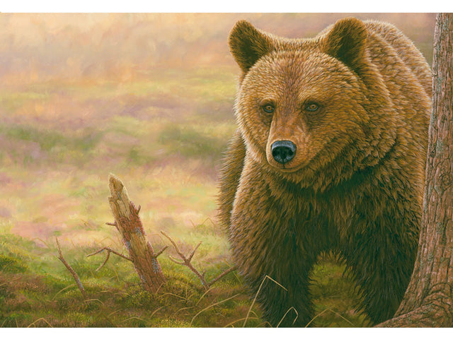 European-Brown-Bear-Original-Painting