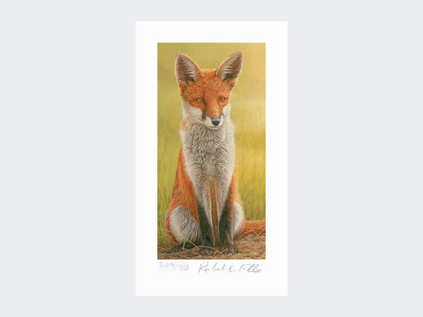 Fox Cub | Limited Edition Art Print