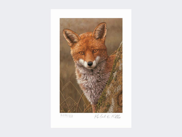 Fox at Dawn | Limited Edition Art Print