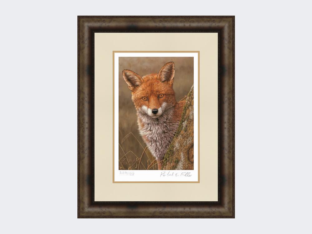 Fox-at-Dawn-Print-Medium-Dark-Grey-Burr