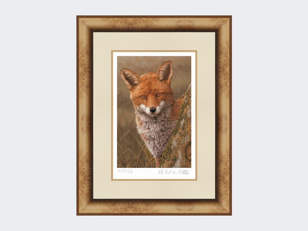 Fox-at-Dawn-Print-Medium-Light-Burr