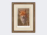 Fox-at-Dawn-Print-Small-Light-Burr