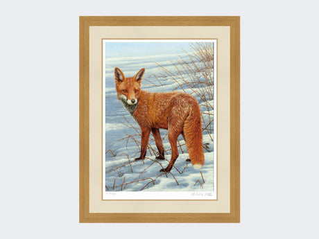 Fox-on-the-Lookout-Print-Light-Oak