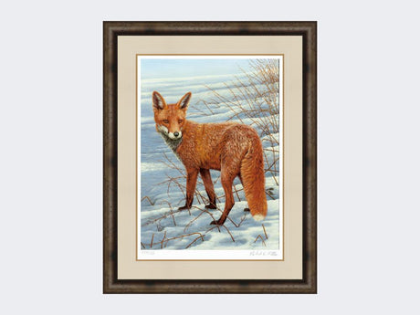 Fox-on-the-Lookout-Print-Medium-Dark-Grey-Burr