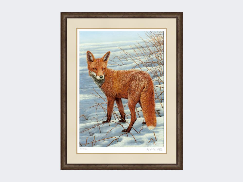 Fox-on-the-Lookout-Print-Small-Dark-Grey-Burr